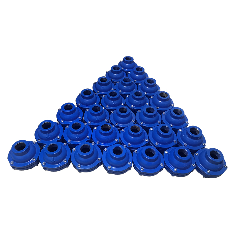 上海克萊德單向閥